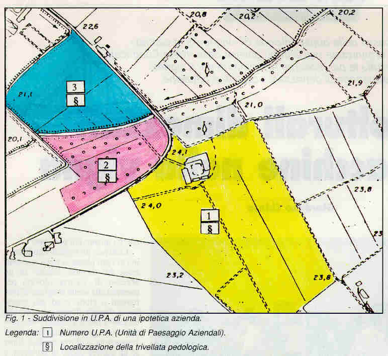 Fig. 1 - Suddivisione in U.P.A. di una ipotetica azienda